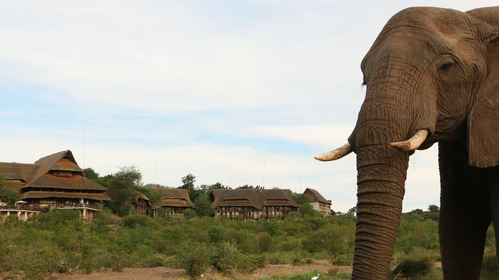 Victoria Falls Safari Suites מראה חיצוני תמונה