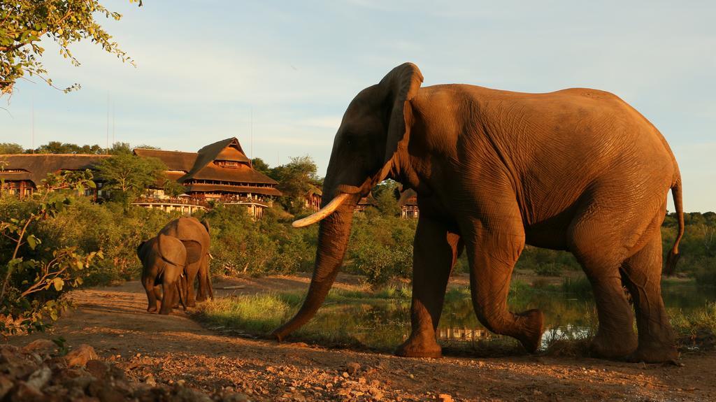 Victoria Falls Safari Suites מראה חיצוני תמונה